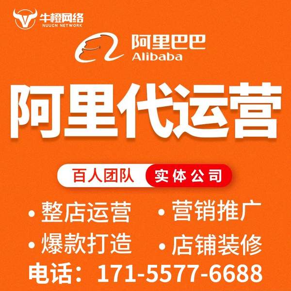 绍兴电商代运营