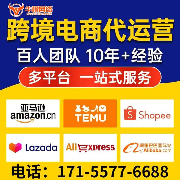 绍兴电商代运营