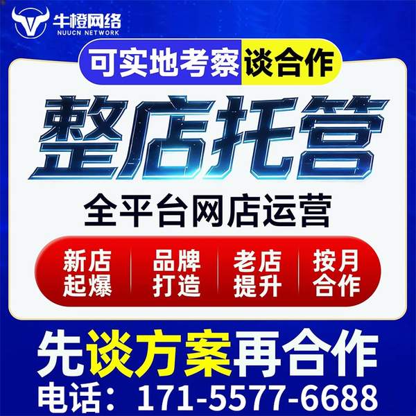 绍兴电商代运营