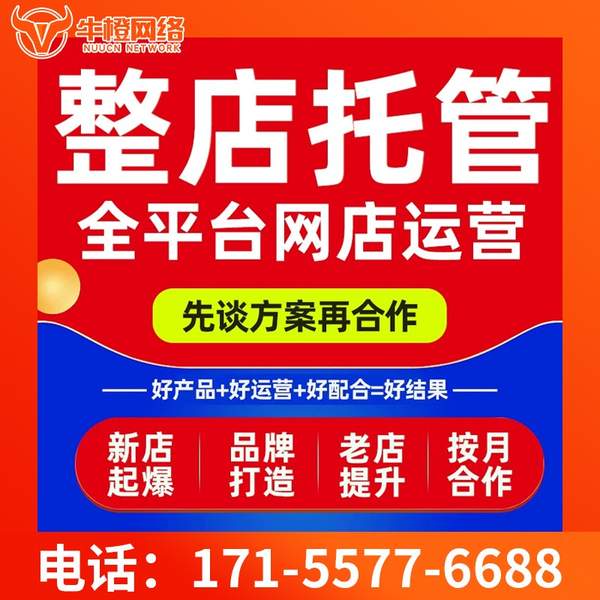 绍兴电商代运营