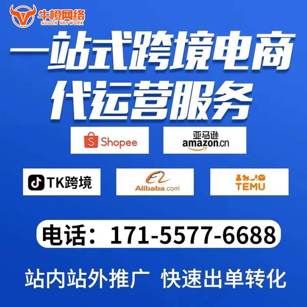 绍兴电商代运营
